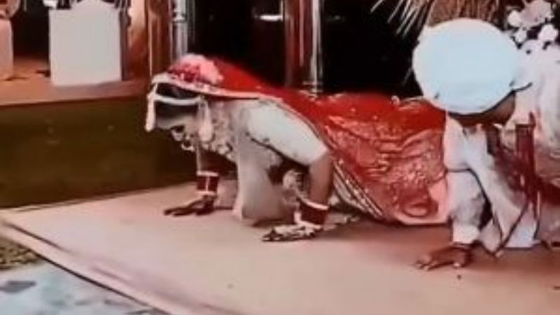 Bride Groom Push Ups 2