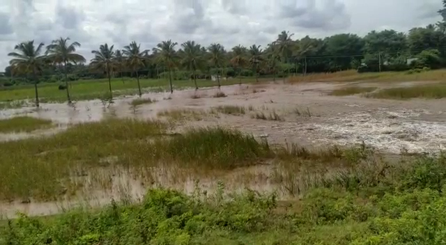 CNG LAKE 3 1