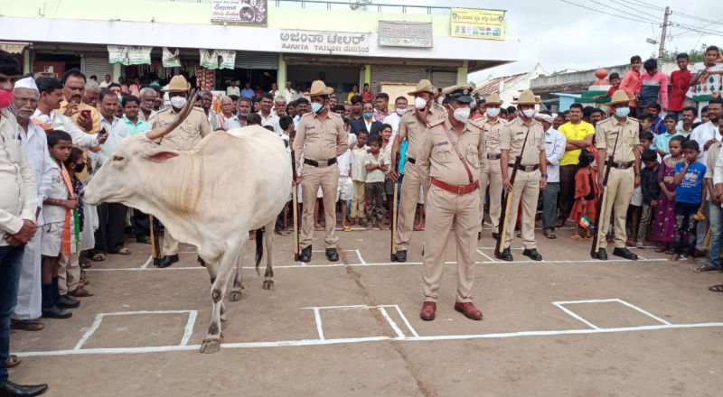 GDG COW 2