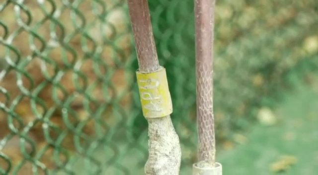GPS tracking for birds Mandya kokkare belluru 1