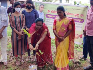 Raksha Bandhan Planting Plants