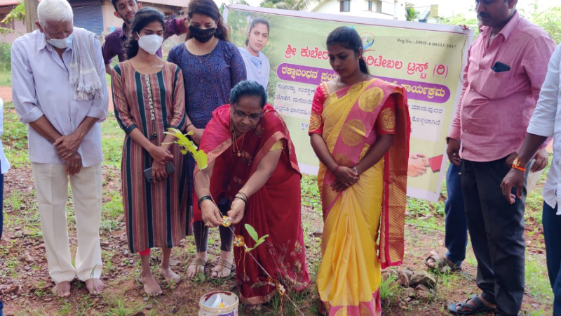 Raksha Bandhan Planting Plants