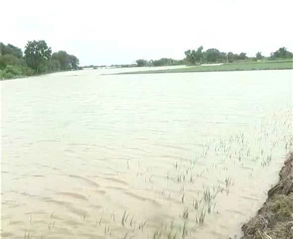 RCR Flood 2