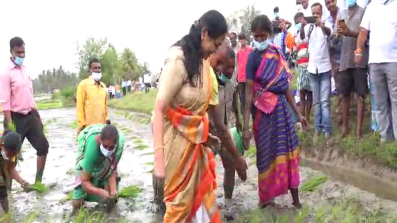 Shobha Karandlaje7