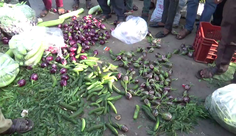 VEGTABLES 3