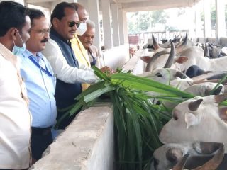 Vijayanagara prabhu chavan 1
