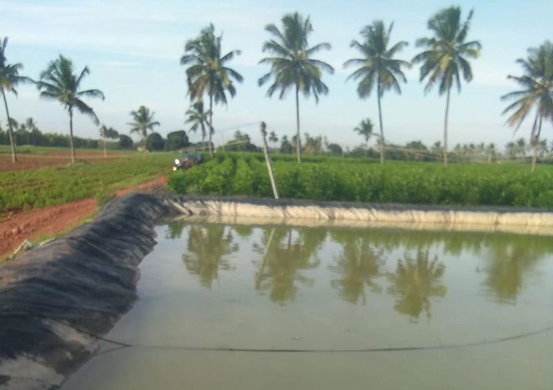 agriculture pond