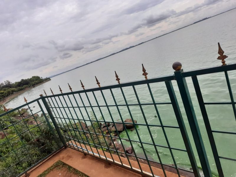 ballari tb dam water green 2