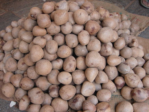 coconut 2