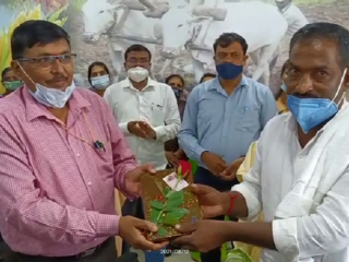 kwr apmc election