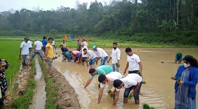 madikeri it employees 2 3