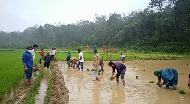 madikeri it employees 2 4