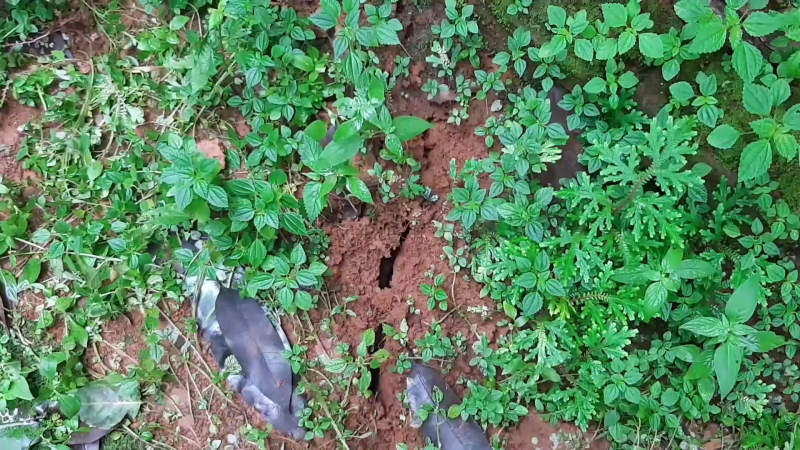 mdk landslide 2 1