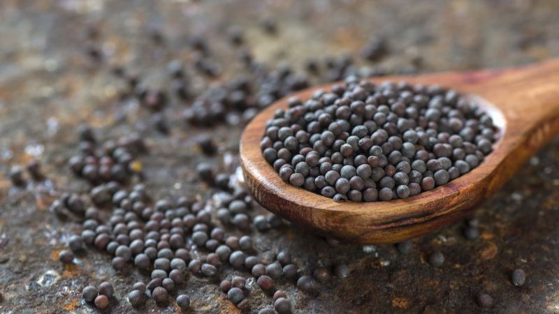 mustard seeds