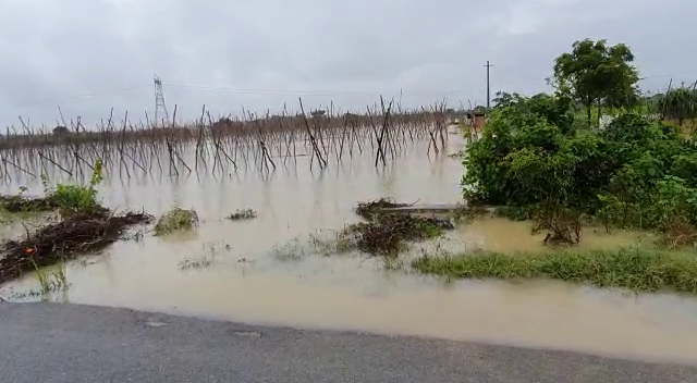 public tv klr rain crop loss 2 2