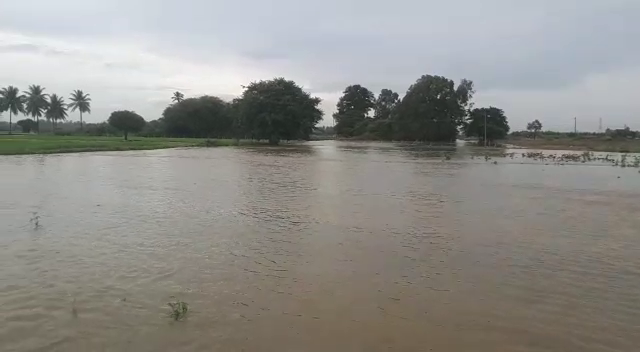 public tv klr rain crop loss 2 3