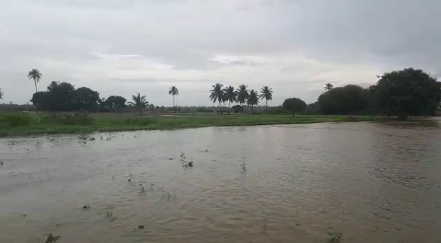 public tv klr rain crop loss 2 4
