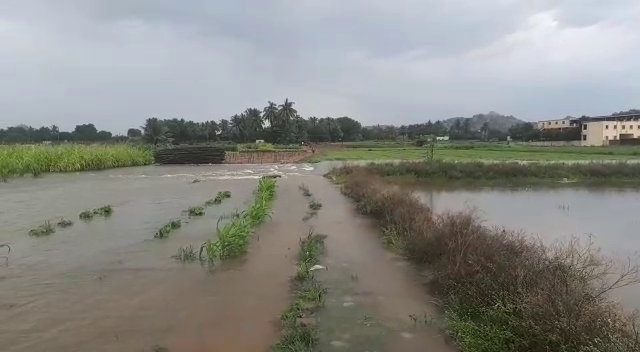 public tv klr rain crop loss 2 5