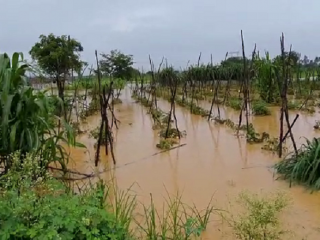public tv klr rain crop loss