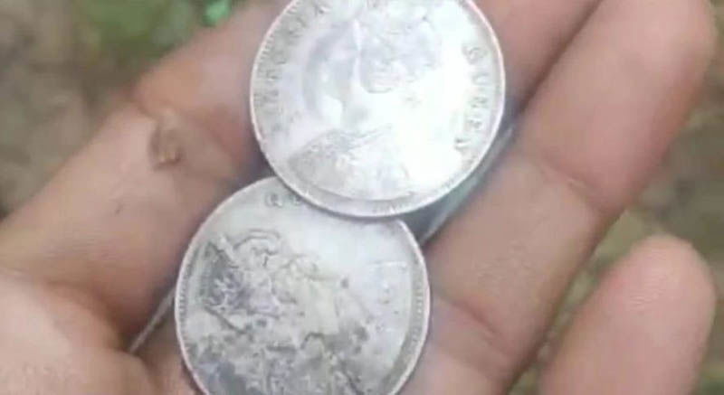silver coin 1