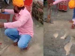 snake bite