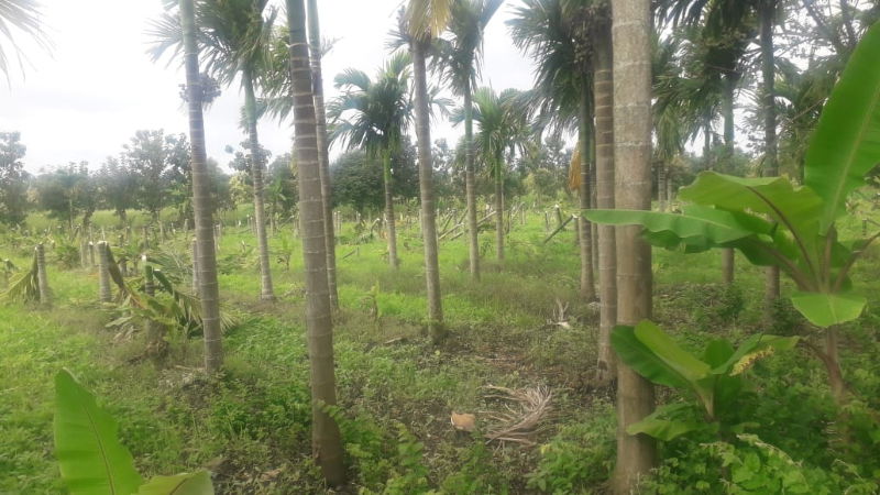 AROCONET