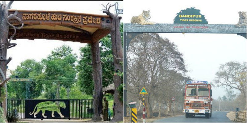 Bandipur Nagarahole