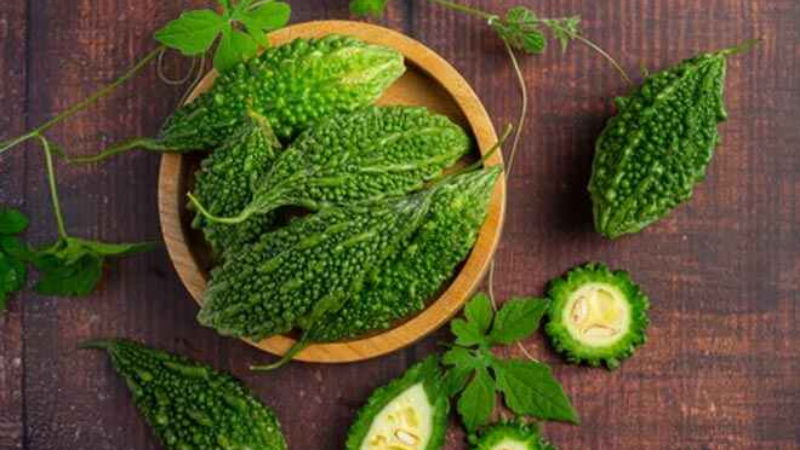 Bitter Gourd
