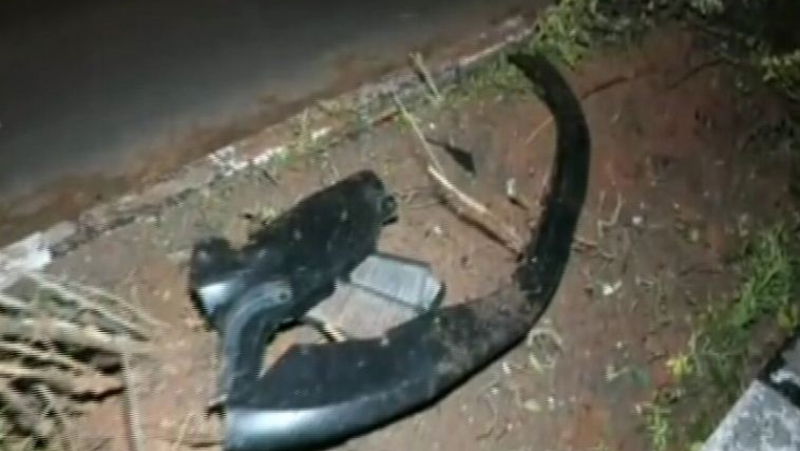  CAR ACCIDENT