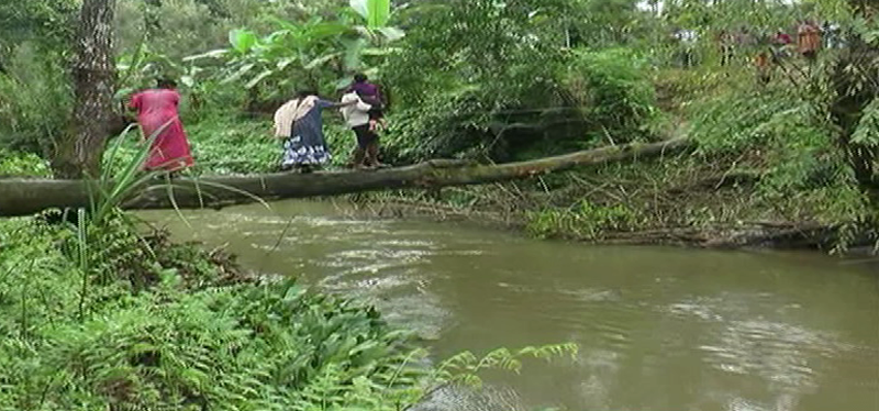 CKM BRIDGE 2