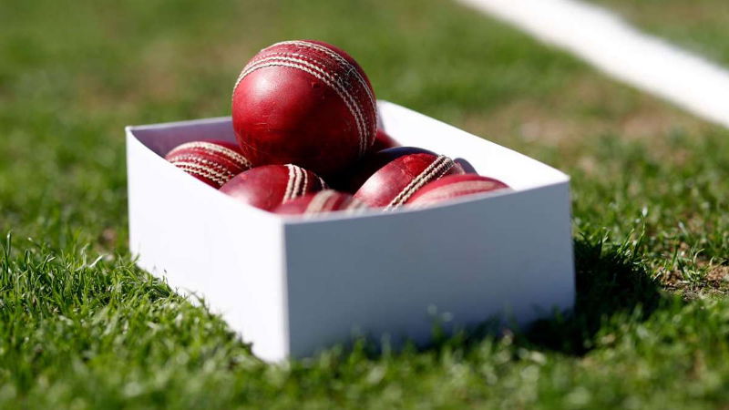 CRICKET BALL 3