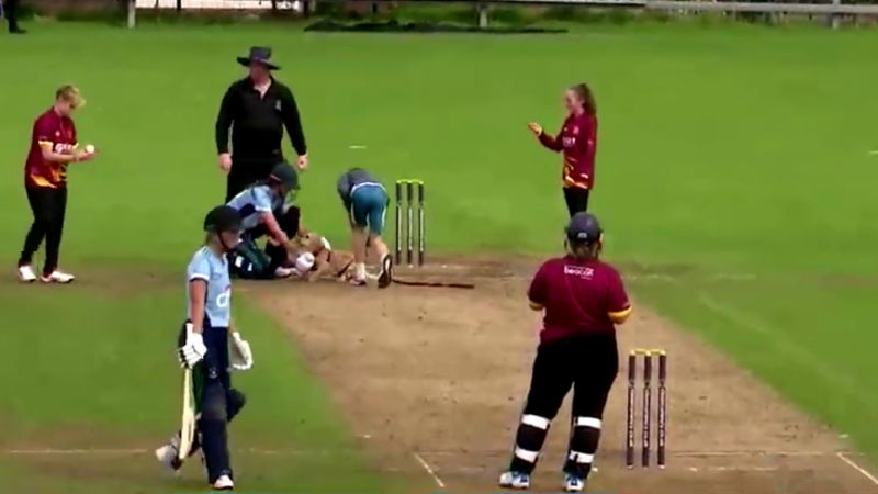 CRICKET DOG