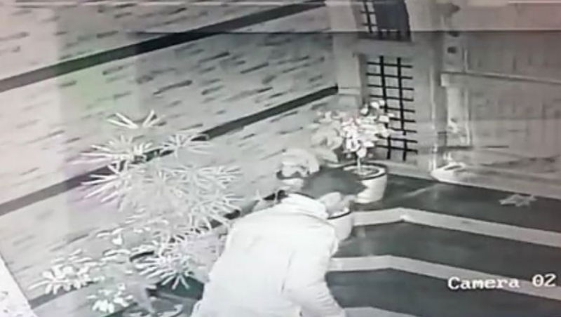Thief Flower Pot