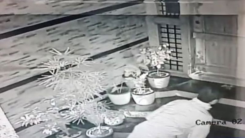 Thief Flower Pot
