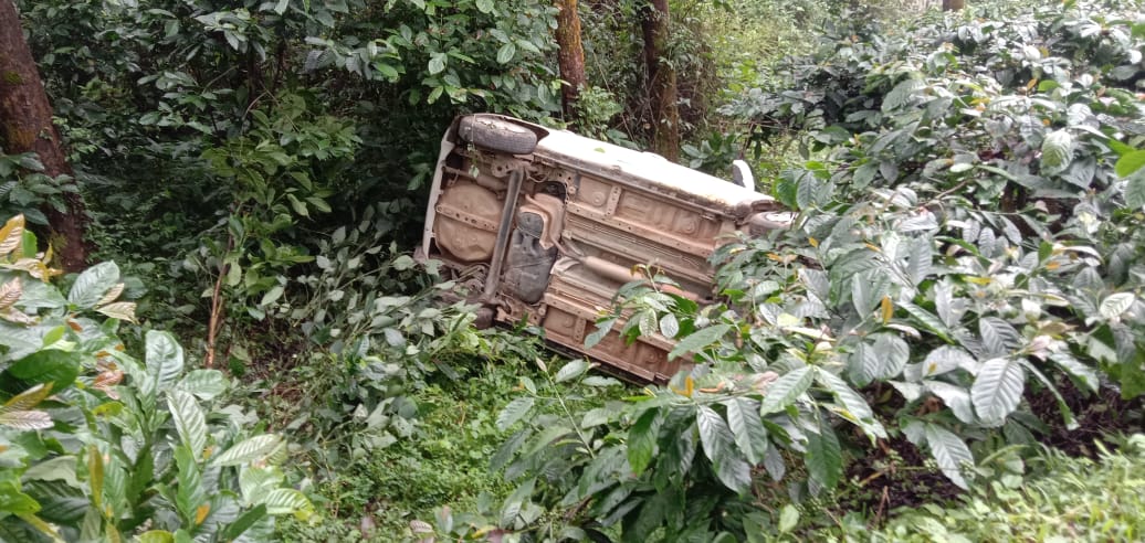 Tourist Car overturns near devaramane gudda Chikkamagaluru