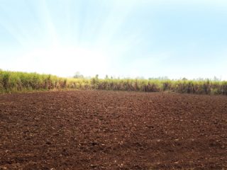 agriculture 2