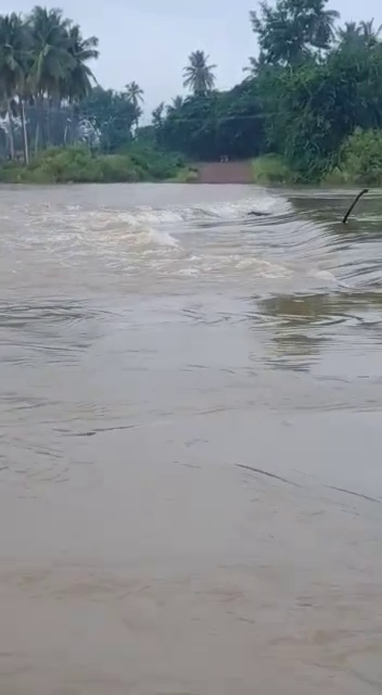 bagalakote malaprabha river 2