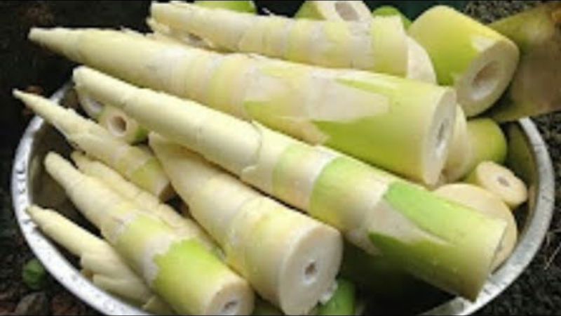 bamboo sambar 5