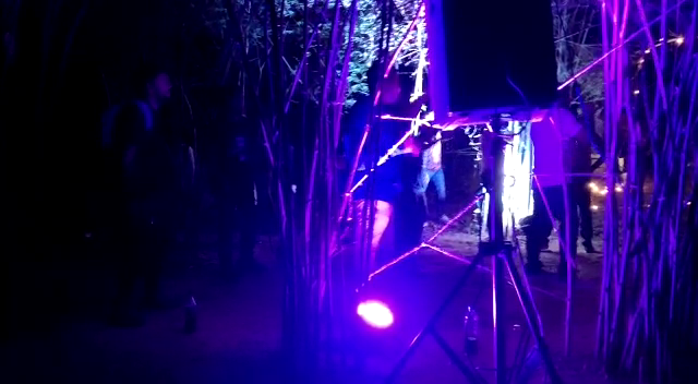 bengaluru anekal rave party 1