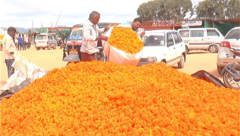chikkaballapura