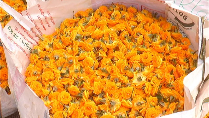 chikkaballapura