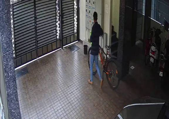 cycle theft 2 5 e1632330214348