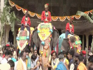 dasara elephant