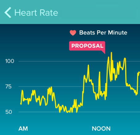 fitbeat heart rate