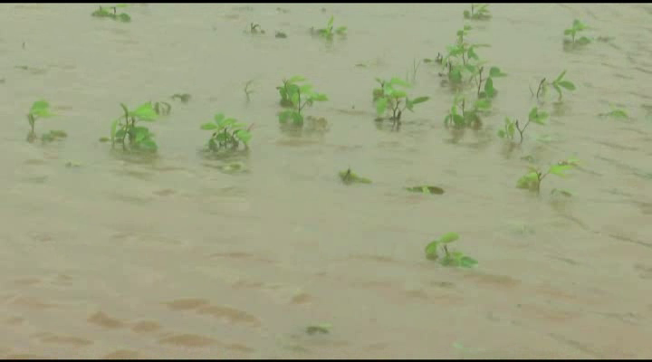 galaburagi bidar rain 2 5