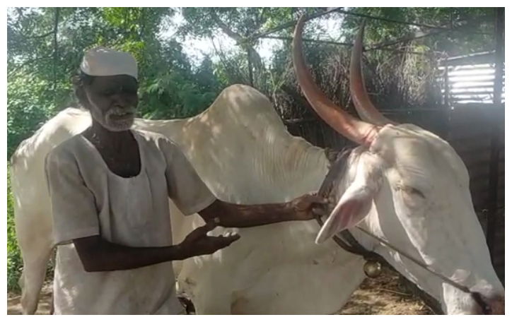 klb yettu1