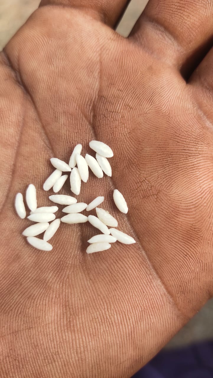 kolar ration plastic rice 2 1