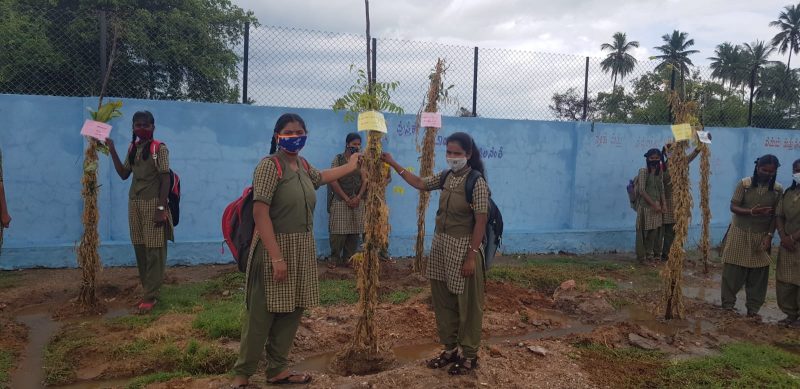 koppal students plant 2 1
