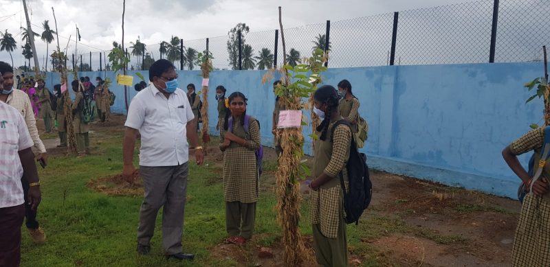 koppal students plant 2 2