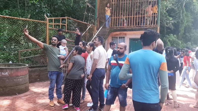 madikeri abbi falls 2 3